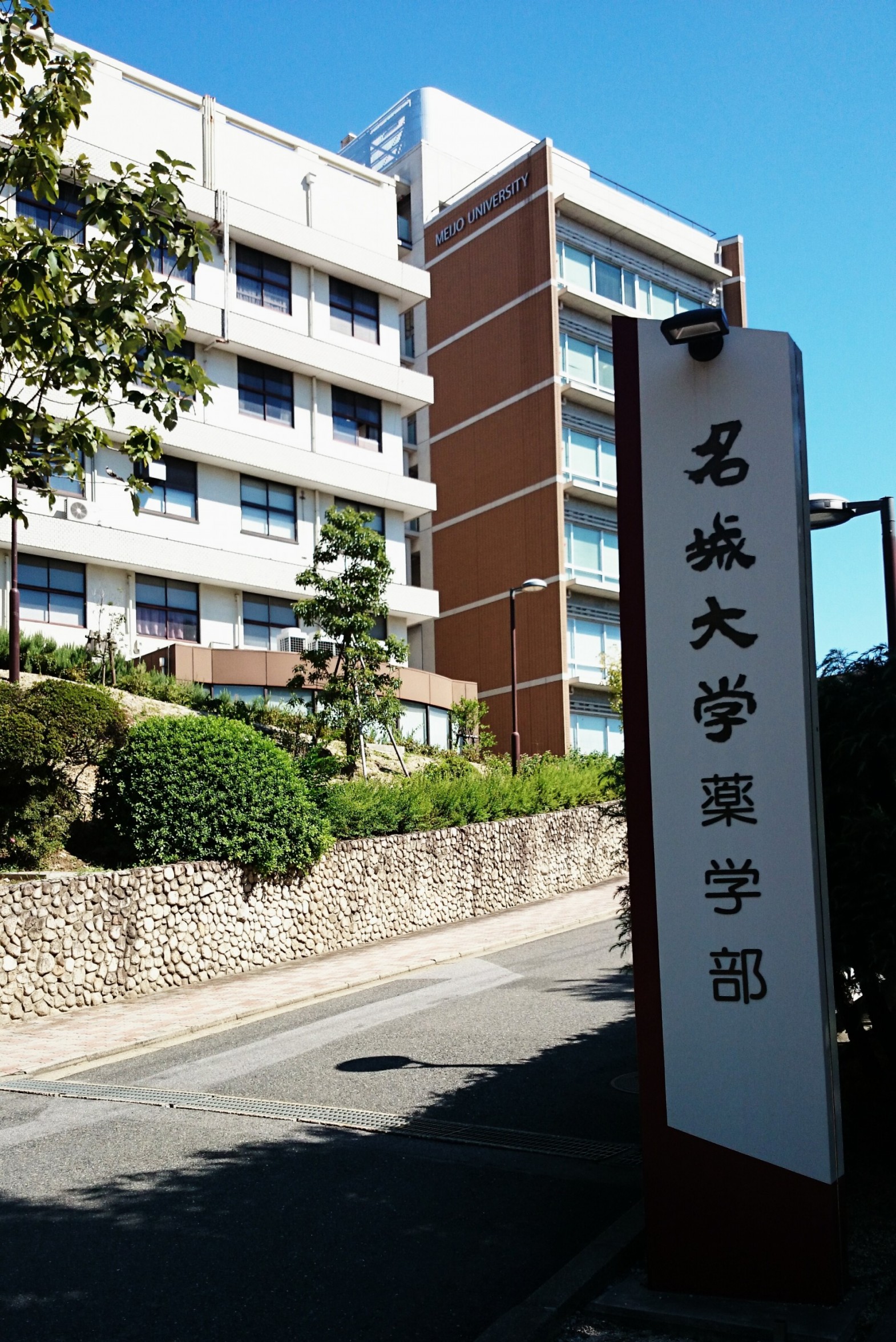 名城 大学 薬学部